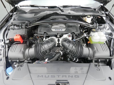 2024 Ford Mustang Dark Horse