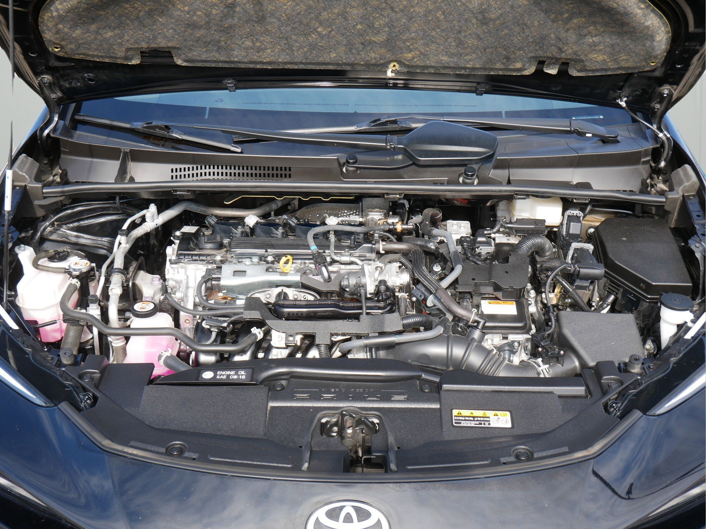 2024 Toyota Prius LE