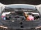 2026 Kia Carnival Hybrid LXS